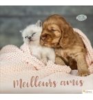 Calendrier Meilleurs Amis Grand Format 2026