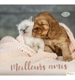 Calendrier Meilleurs Amis Grand Format 2026
