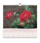 Calendrier 2026 - Roses Mural (grand format)