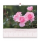Calendrier 2026 - Roses Mural (grand format)