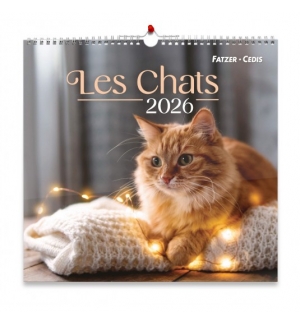 Calendrier 2026- Nos amis les chats (grand format)