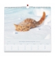 Calendrier 2026- Nos amis les chats (grand format)