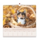 Calendrier 2026- Nos amis les chats (grand format)