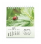 Calendrier Nature en Paix 2026