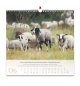 Calendrier 2026 - Psaume 23 (grand format)
