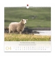 Calendrier 2026 - Psaume 23 (grand format)