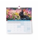 Merveilles sans textes - Calendrier 2026
