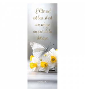 Signet Papillon posé sur des fleurs blanches et jaunes