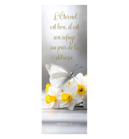 Signet Papillon posé sur des fleurs blanches et jaunes