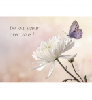 Carte Avec Message Fleurs de lys posées sur du marbre blanc