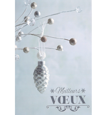 Carte meilleurs voeux Carte meilleurs voeux