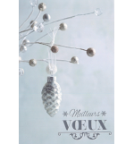 Carte meilleurs voeux