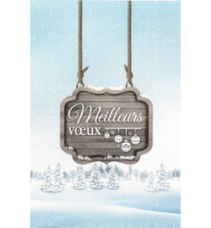 Carte meilleurx voeux