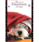 Carte meilleurs voeux