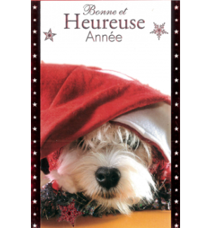 Carte meilleurs voeux