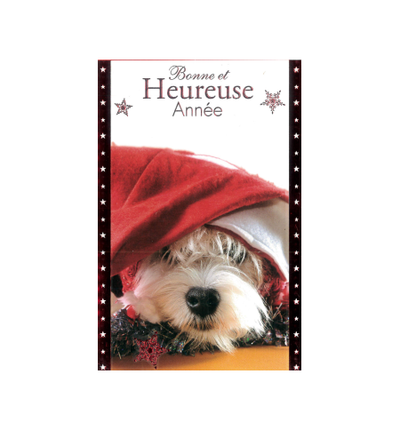 Carte meilleurs voeux Carte meilleurs voeux