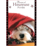 Carte meilleurs voeux