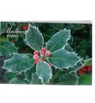 Carte meilleurs voeux