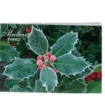 Carte meilleurs voeux