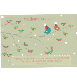 Carte meilleurs voeux