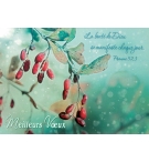 Carte meilleurs voeux