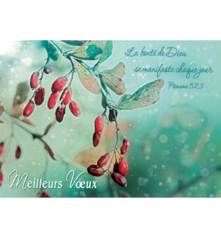 Carte meilleurs voeux