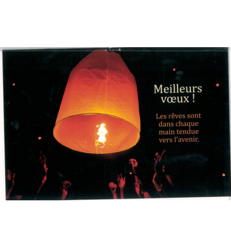 Carte meilleurs voeux