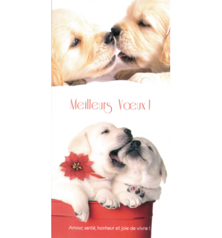 Carte meilleurs voeux
