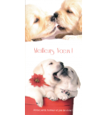 Carte meilleurs voeux