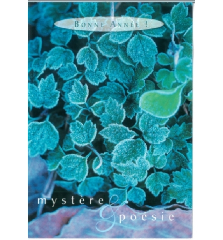 Carte meilleurs voeux