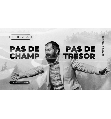 Pas de champ, pas de trésor - Thiébault Geyer - MP3