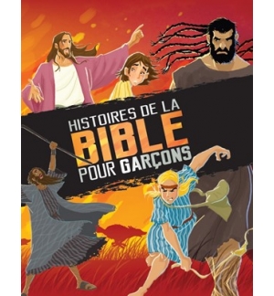 Histoires de la Bible pour garçons - De 7 à 12 ans