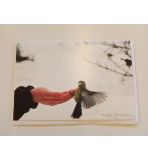 Carte divers Mésange et Main avec enveloppe