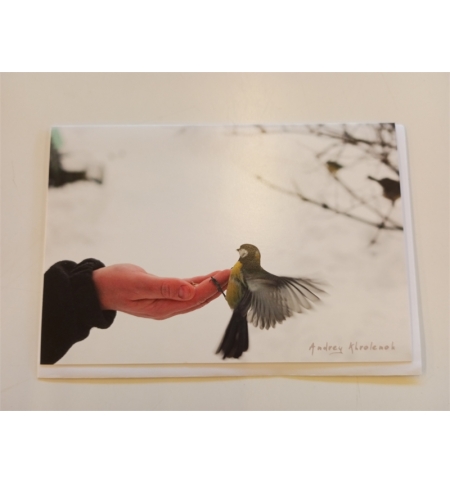 Carte divers Mésange et Main avec enveloppe