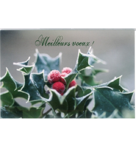 Carte meilleurs voeux