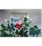 Carte meilleurs voeux