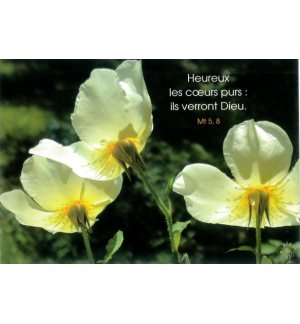 Carte "Divers" avec verset