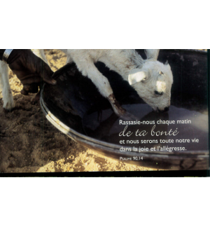 Carte "Divers" avec verset