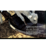 Carte "Divers" avec verset