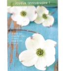 Carte "Anniversaire" avec verset