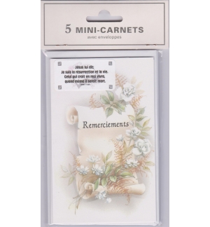 Cartes Condoléances Remerciements (paquet de 5 mini-carnets)
