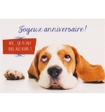 Carte "Anniversaire"