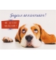 Carte "Anniversaire"