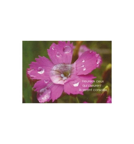 Carte "Divers" avec verset