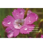 Carte "Divers" avec verset