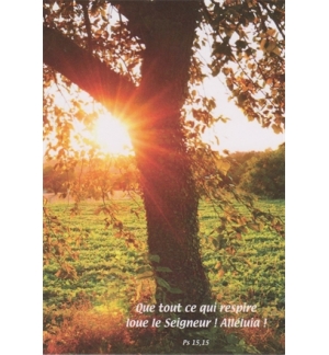 Carte "Divers" avec verset