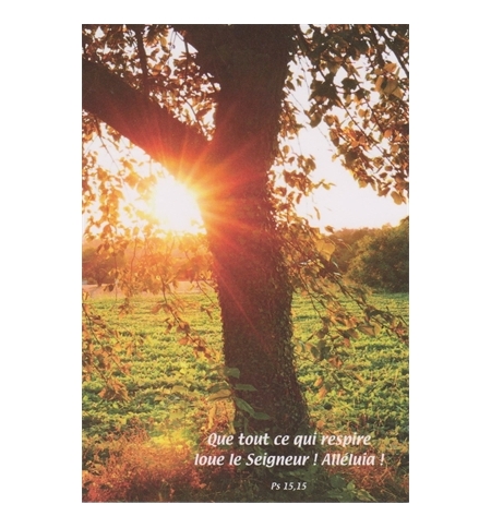 Carte "Divers" avec verset