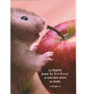 Carte "Divers" avec verset