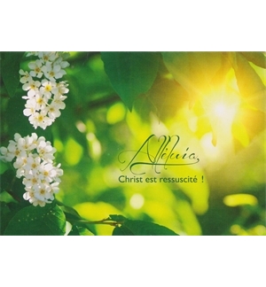 Carte Paques