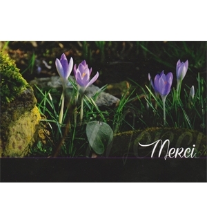 Carte "Merci"